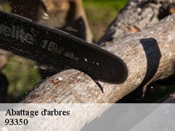 Abattage d'arbres 93350
