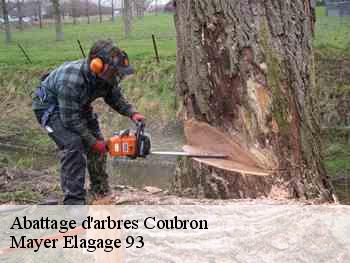 Abattage d'arbres  coubron-93470 Mayer Elagage 93
