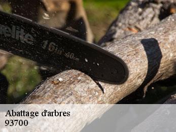 Abattage d'arbres  93700