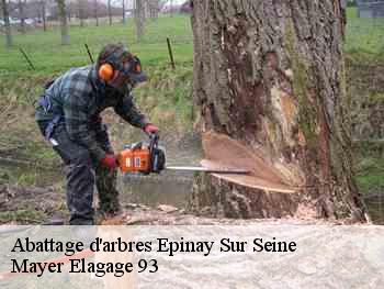 Abattage d'arbres epinay-sur-seine-93800 Mayer Elagage 93