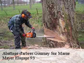 Abattage d'arbres  gournay-sur-marne-93460 Mayer Elagage 93