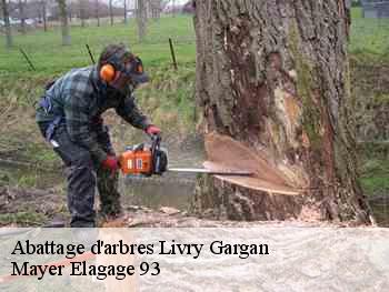 Abattage d'arbres  livry-gargan-93190 Mayer Elagage 93