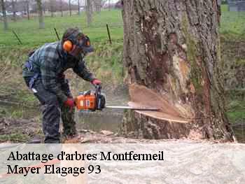 Abattage d'arbres  montfermeil-93370 Mayer Elagage 93