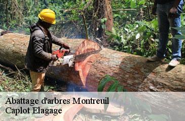 Abattage d'arbres  montreuil-93100 Caplot Elagage