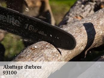 Abattage d'arbres  93100
