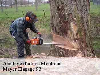 Abattage d'arbres  montreuil-93100 Mayer Elagage 93