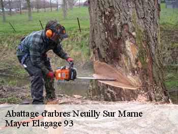 Abattage d'arbres  neuilly-sur-marne-93330 Mayer Elagage 93