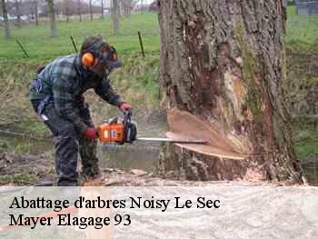 Abattage d'arbres  noisy-le-sec-93130 Mayer Elagage 93