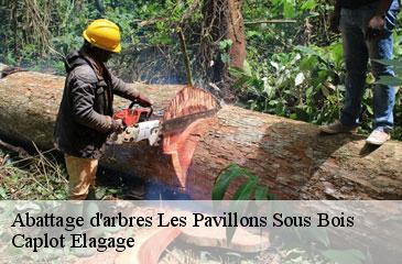 Abattage d'arbres  les-pavillons-sous-bois-93320 Caplot Elagage