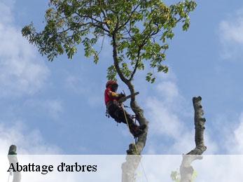 Abattage d'arbres