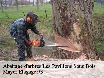 Abattage d'arbres  les-pavillons-sous-bois-93320 Adolphe Elagage