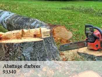 Abattage d'arbres 93340