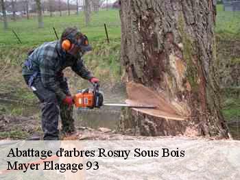 Abattage d'arbres  rosny-sous-bois-93110 Mayer Elagage 93