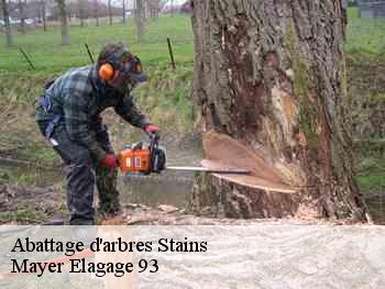 Abattage d'arbres  stains-93240 Mayer Elagage 93