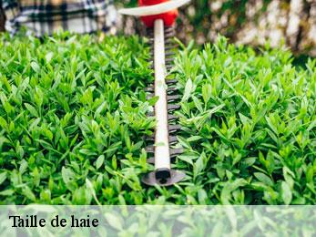 Taille de haie