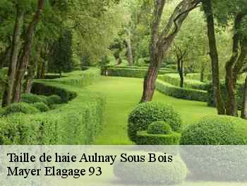 Taille de haie  aulnay-sous-bois-93600 Mayer Elagage 93