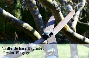Taille de haie bagnolet-93170 Caplot Elagage