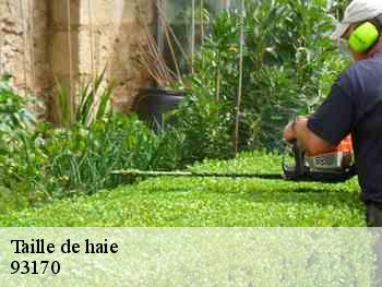 Taille de haie 93170