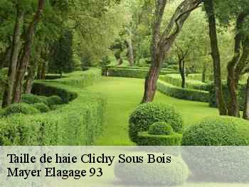 Taille de haie  clichy-sous-bois-93390 Mayer Elagage 93