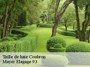 Taille de haie  coubron-93470 Mayer Elagage 93