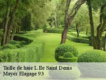 Taille de haie  l-ile-saint-denis-93450 Mayer Elagage 93