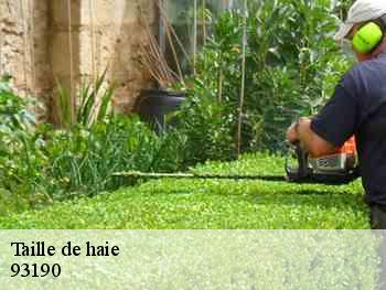 Taille de haie 93190