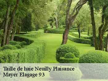 Taille de haie  neuilly-plaisance-93360 Mayer Elagage 93