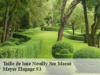 Taille de haie  neuilly-sur-marne-93330 Mayer Elagage 93