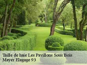 Taille de haie les-pavillons-sous-bois-93320 Mayer Elagage 93