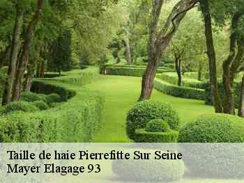 Taille de haie  pierrefitte-sur-seine-93380 Adolphe Elagage