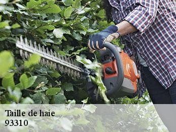 Taille de haie  93310