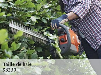 Taille de haie  93230