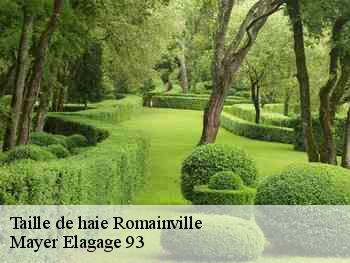 Taille de haie  romainville-93230 Adolphe Elagage