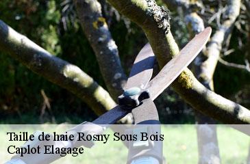 Taille de haie  rosny-sous-bois-93110 Caplot Elagage