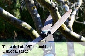 Taille de haie villemomble-93250 Caplot Elagage