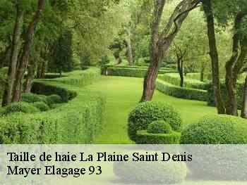 Taille de haie la-plaine-saint-denis-93210 Mayer Elagage 93