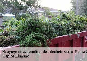 Broyage et évacuation des déchets verts 93 Seine-Saint-Denis Caplot Elagage