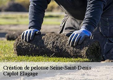 Création de pelouse 93 Seine-Saint-Denis Caplot Elagage