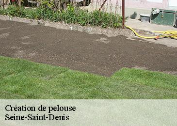 Création de pelouse Seine-Saint-Denis