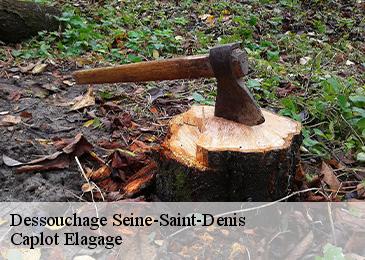 Dessouchage 93 Seine-Saint-Denis Caplot Elagage