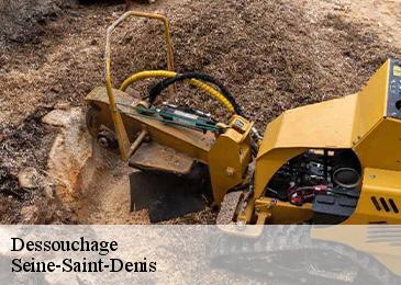 Dessouchage Seine-Saint-Denis