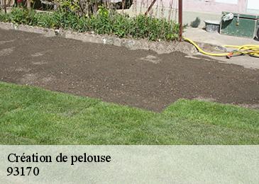 Création de pelouse  93170