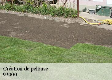Création de pelouse 93000