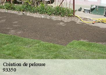 Création de pelouse  93350