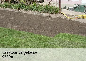 Création de pelouse 93390
