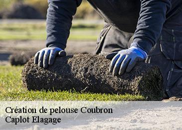 Création de pelouse coubron-93470 Caplot Elagage