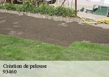 Création de pelouse  93460