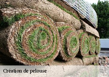 Création de pelouse