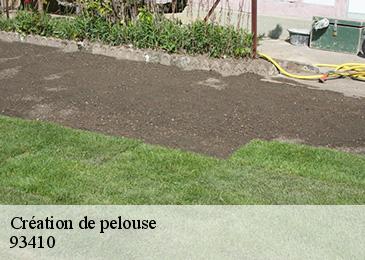 Création de pelouse  93410
