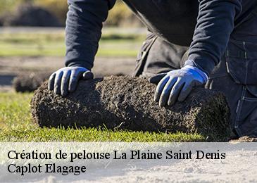 Création de pelouse  la-plaine-saint-denis-93210 Caplot Elagage